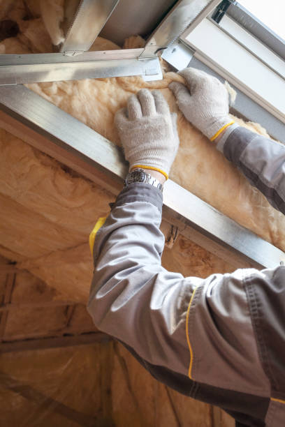 Best Cellulose Insulation  in Southern Gateway, VA